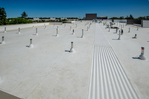Best Roof Ventilation Installation  in Franklin Lakes, NJ